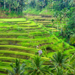 Indonesia
