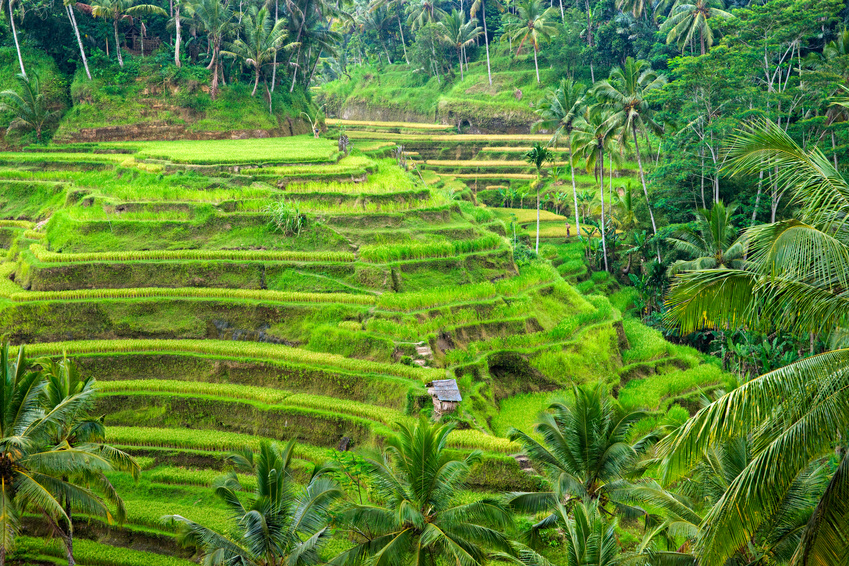 Indonesia