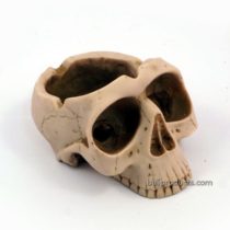 Double-Skull Ashtray