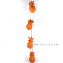 Pineapple Hanging
