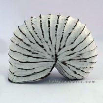 Nautilus Shell Figurine