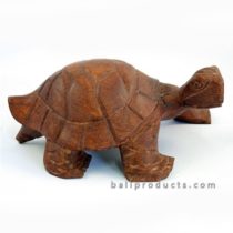 Wooden Turtle