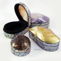 Shell Jewelry Box