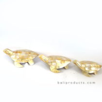 3 Shell Turtles