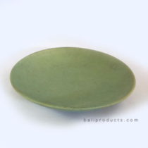 Green Ceramic Plate