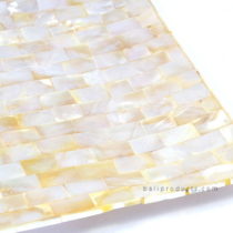 Mop Medium Plate White