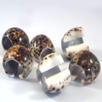Set 6 Shell Napkin Rings