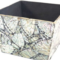 Crushed Shell Box