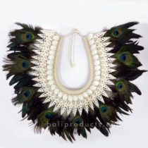 Feather Peacock wall decor