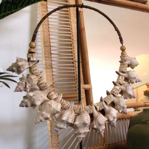 Large Spiral Sea Shell Circular Decor